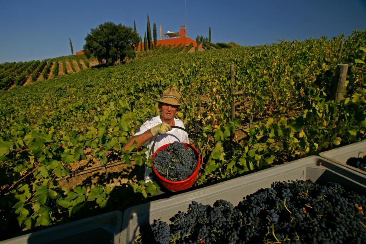 La Foresteria Di Rocca Di Frassinello กาวอร์ราโน ภายนอก รูปภาพ